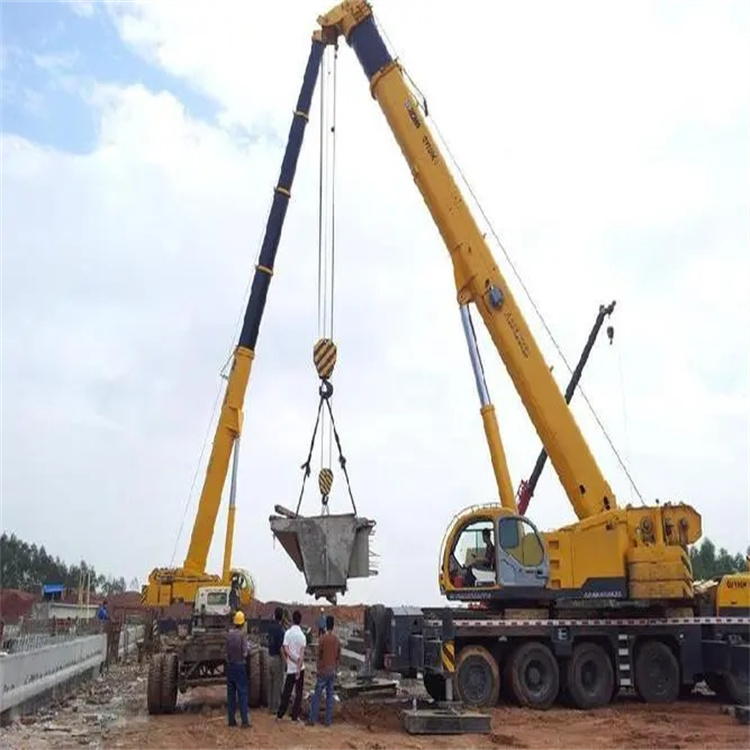 徐闻小型吊机出租电话|厂房设备吊装方案|24小时服务覆盖